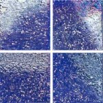 mosaico shining-732